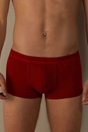 Intimissimi Stretch Supima® Bomull Shorts with Logo Detail Boxer Herre Rød Rød | NOMA3445