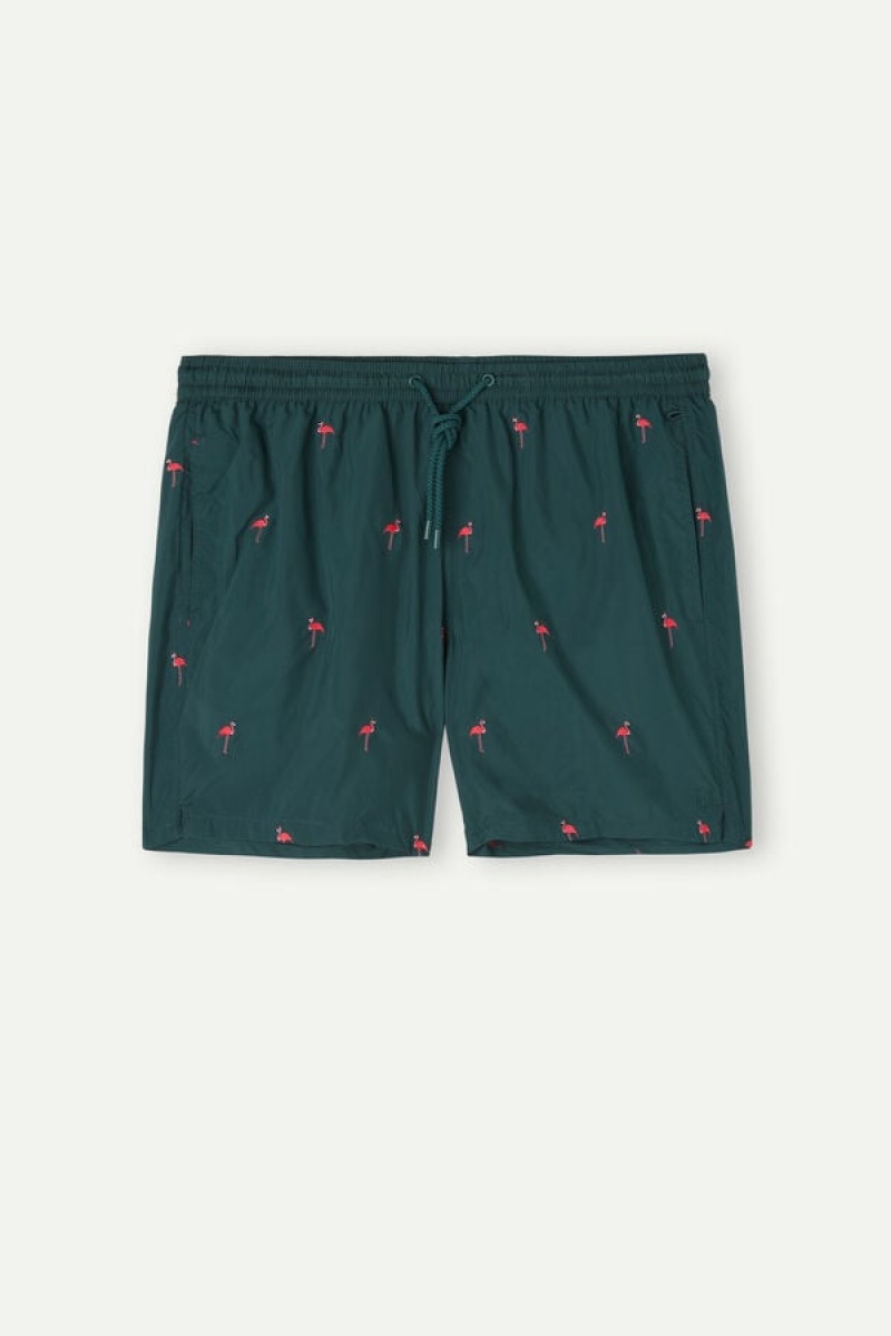 Intimissimi Embroidered Flamingo Badeshorts Herre Mørke Grønn | NOCE3326